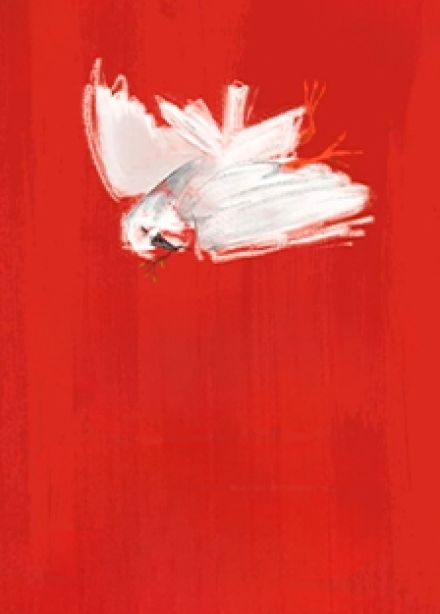 Железновы: рОковая трагедия